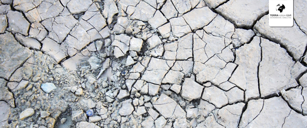 Contaminated site management Contaminated site management